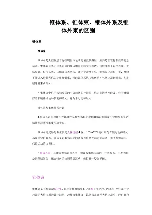 锥体系、锥体束、锥体外系及锥体外束的区别