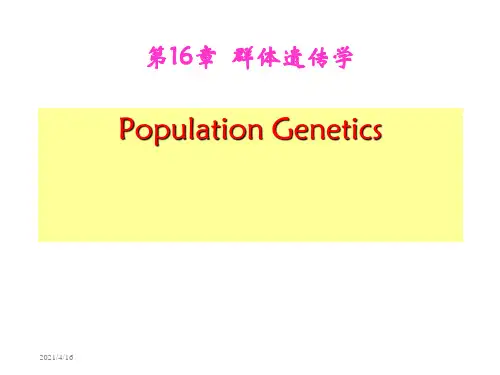 第16章群体遗传学课件ppt课件