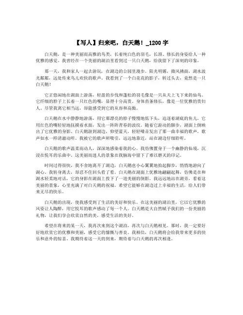 【写人】归来吧,白天鹅!_1200字