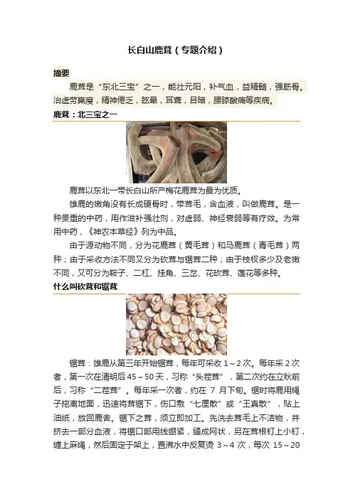 长白山鹿茸（专题介绍）