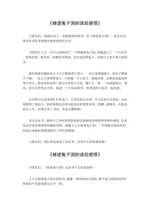 掉进兔子洞的读后感悟