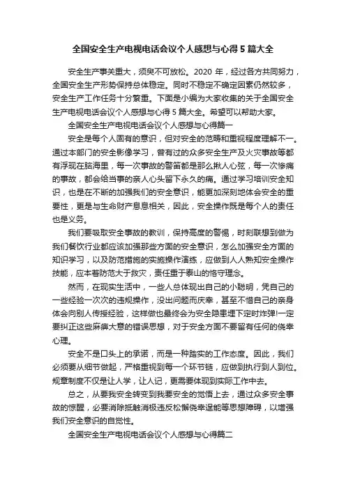 全国安全生产电视电话会议个人感想与心得5篇大全