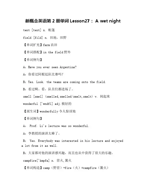 新概念英语第2册单词Lesson27： A wet night