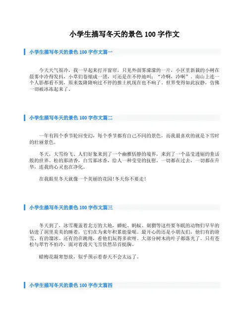 小学生描写冬天的景色100字作文
