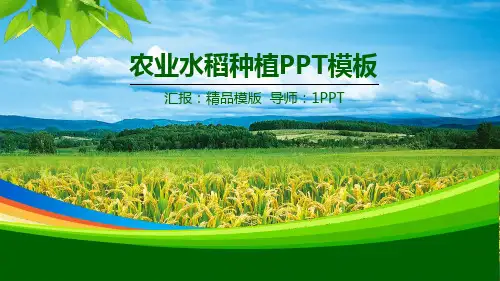 农业--PPT课件模版