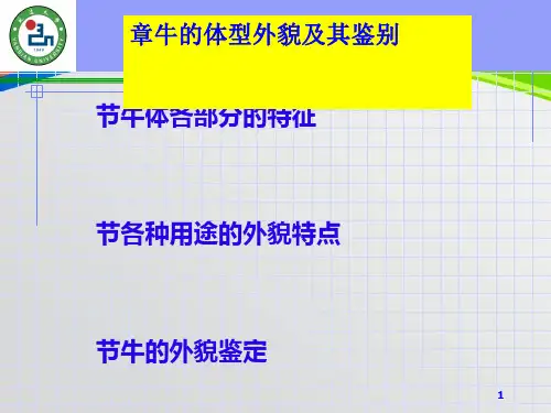 牛生产学培训课件(PPT 50页)