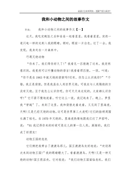 我和小动物之间的故事作文