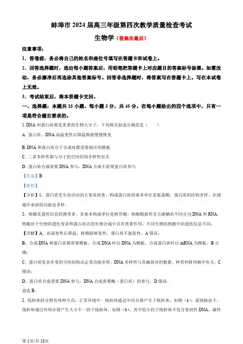 安徽省蚌埠市2024届高三下学期第四次教学质量检测生物试题含答案