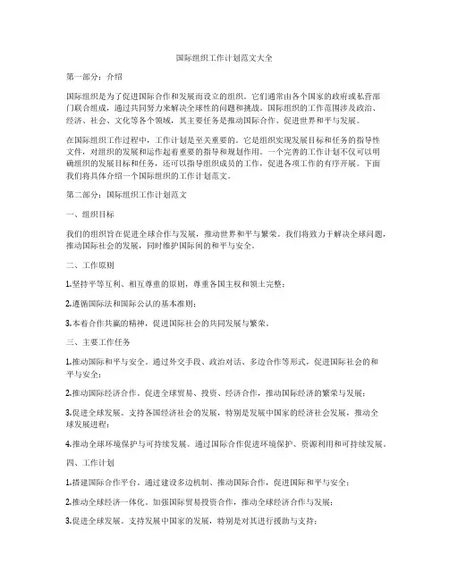 国际组织工作计划范文大全