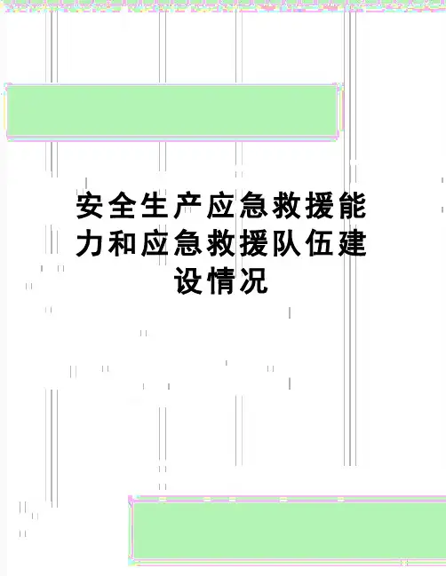 【精品】安全生产应急救援能力和应急救援队伍建设情况
