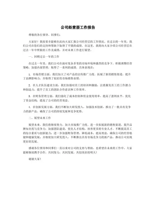 公司经营层工作报告
