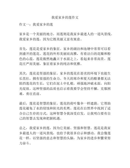 我爱家乡的莲作文
