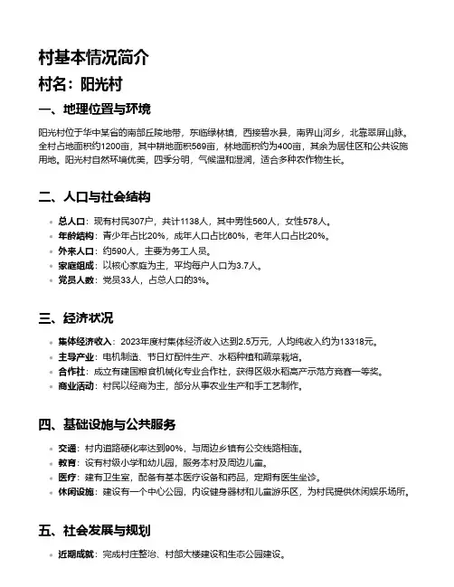 村基本情况简介