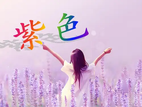 介绍紫色的英文PPT
