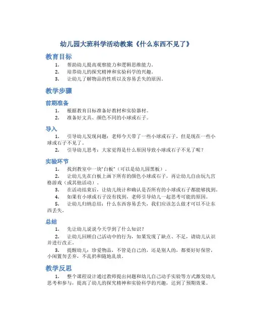 幼儿园大班科学活动教案《什么东西不见了》