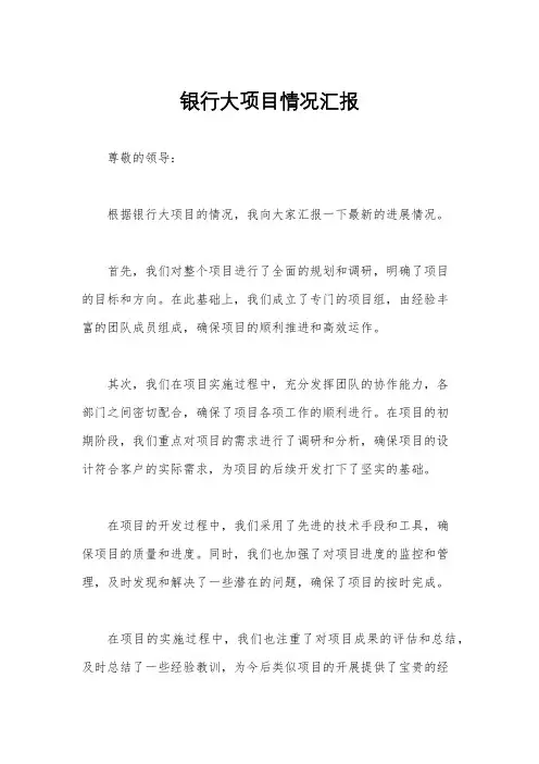 银行大项目情况汇报