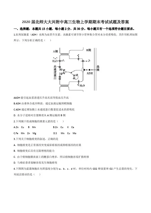 2020届北师大大兴附中高三生物上学期期末考试试题及答案