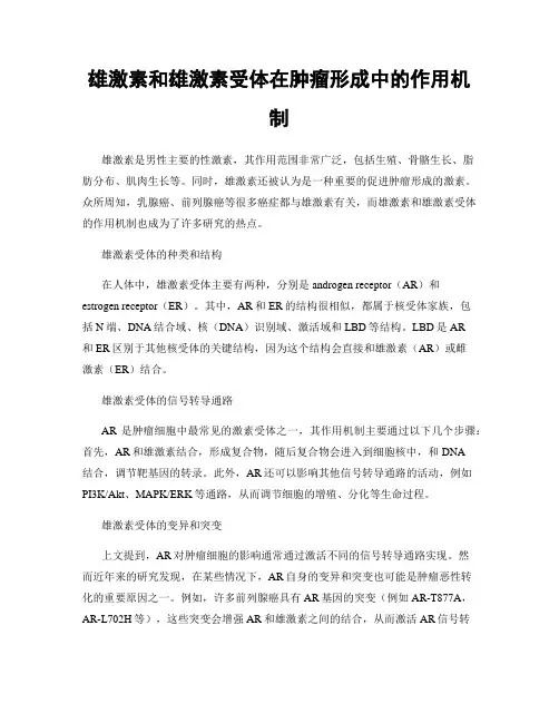 雄激素和雄激素受体在肿瘤形成中的作用机制