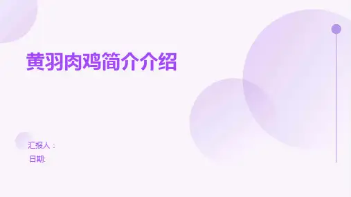 黄羽肉鸡简介介绍