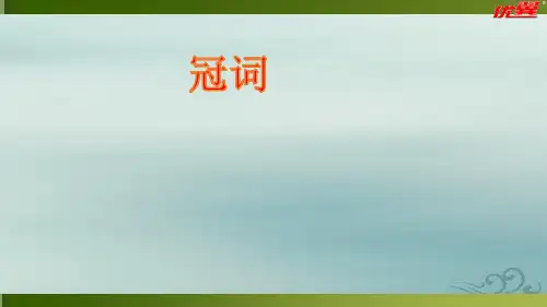 2020年英语中考专题复习   冠词(共53张ppt)