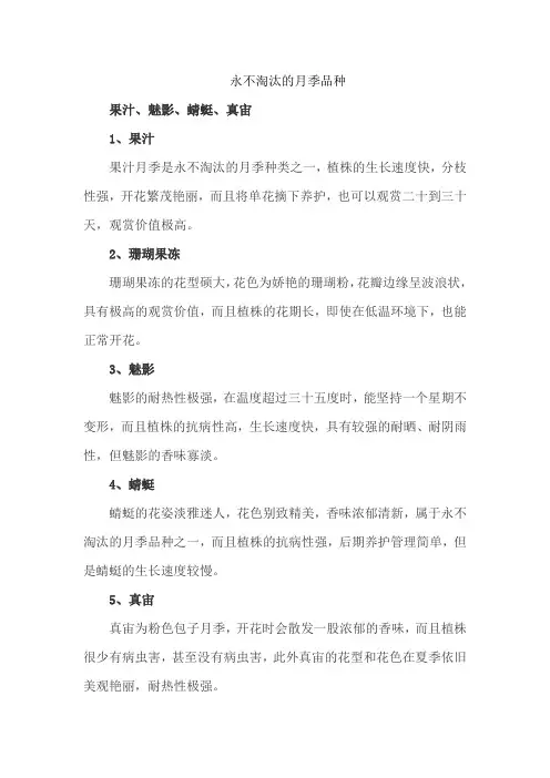永不淘汰的月季品种
