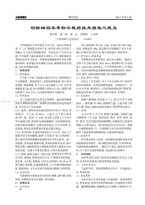 幼龄柚园冬季防冻栽培技术措施之我见