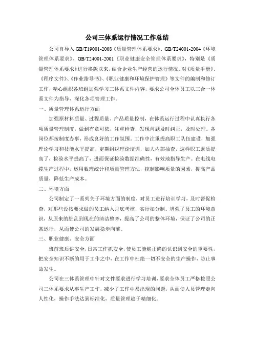 三体系运行工作总结