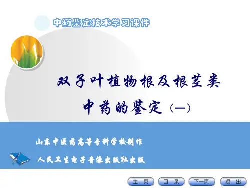 3_双子叶植物根及根茎类中药的鉴定-1