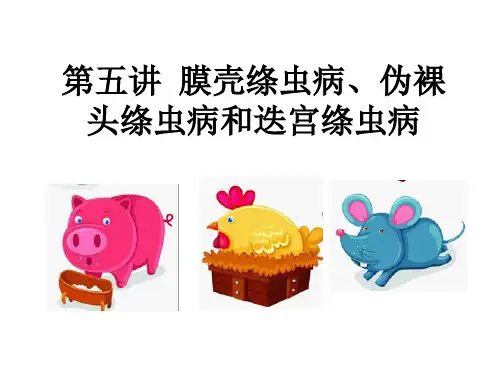 膜壳绦虫病、伪裸头绦虫病和迭宫绦虫病