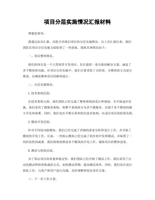 项目分层实施情况汇报材料