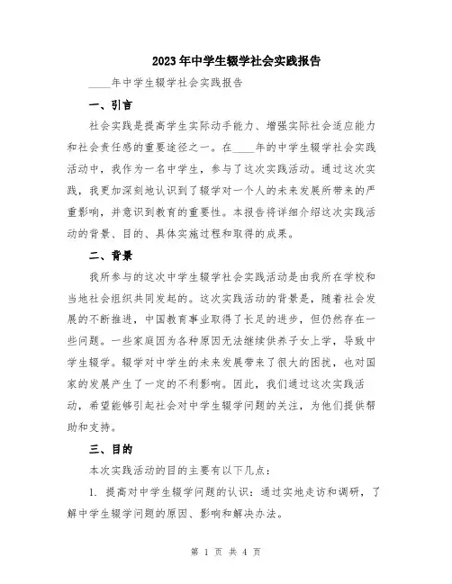 2023年中学生辍学社会实践报告