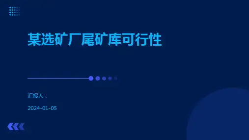 某选矿厂尾矿库可行性