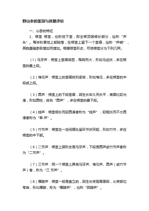 野山参的鉴别与质量评价