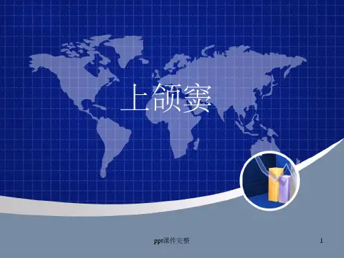 上颌窦解剖及影像学表现ppt课件