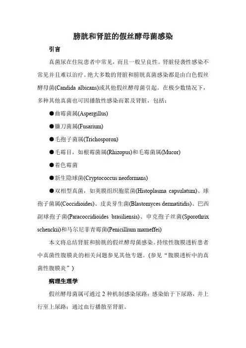 膀胱和肾脏的假丝酵母菌感染
