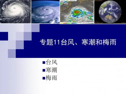 专题11台风、寒潮和梅雨 共21页PPT资料