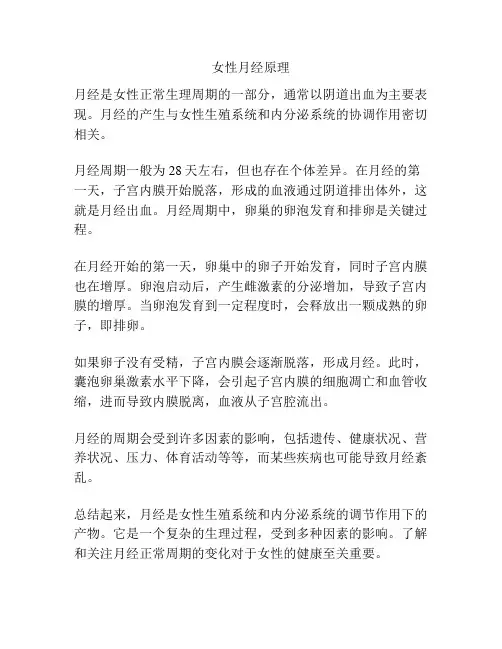 女性月经原理