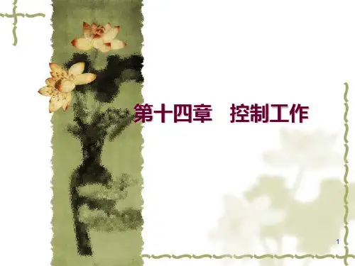 管理学第五版(周三多)第十四章 控制