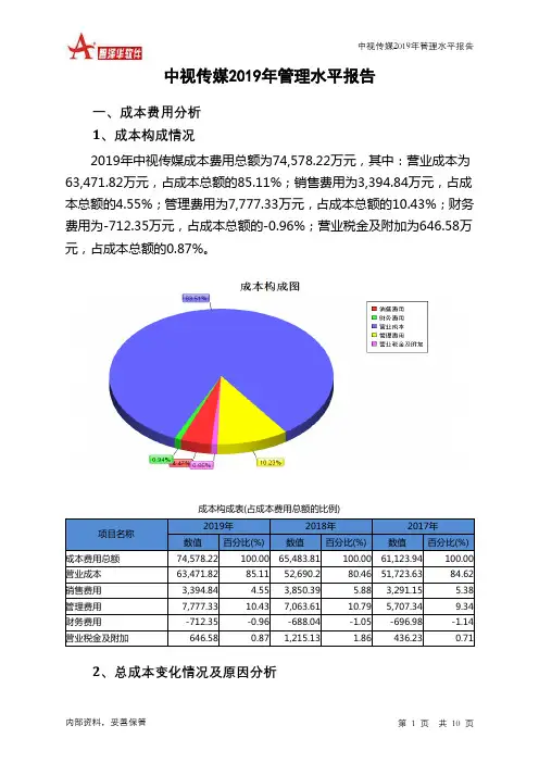 中视传媒2019年管理水平报告