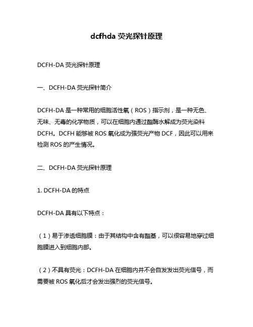 dcfhda荧光探针原理