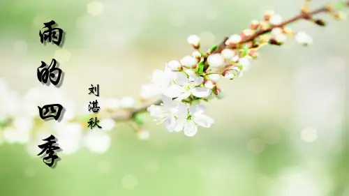 第3课《雨的四季》课件(共22张PPT)