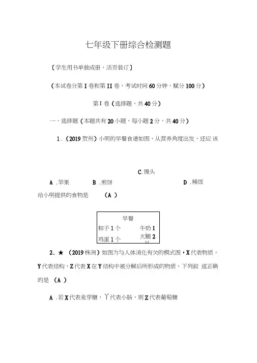 2020年中考生物-北师版-七年级下册综合检测题(word版含答案)
