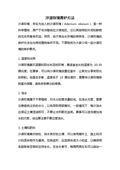 沙漠玫瑰养护方法