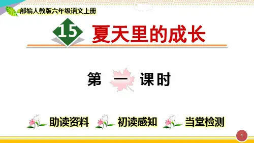 最新部编人教版六年级语文上册《夏天里的成长》优质课件
