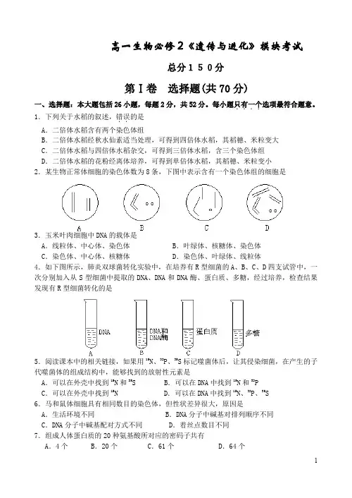 高一生物必修遗传与进化模块考试