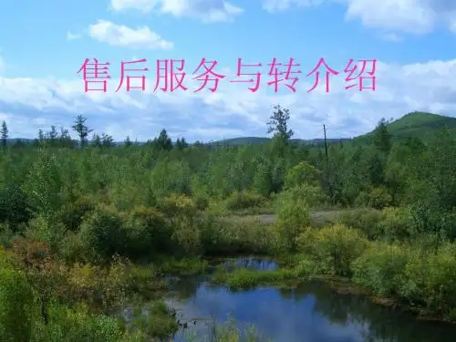 售后服务与转介绍