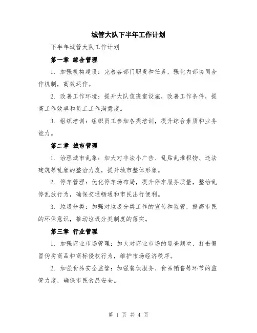 城管大队下半年工作计划