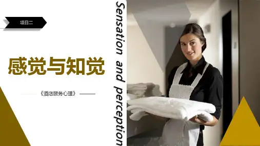 《酒店服务心理学》项目二感觉与知觉
