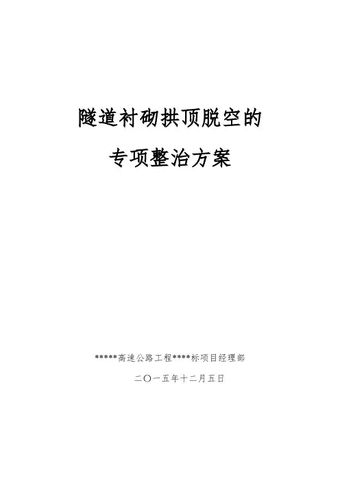 隧道衬砌背后脱空问题的专项整治方案