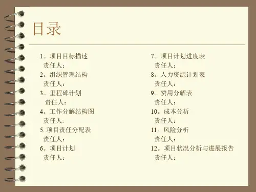 pmp项目管理案例模板